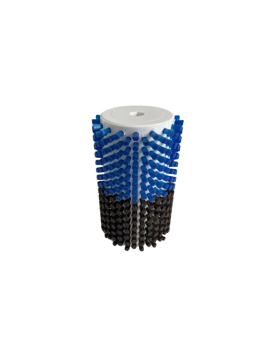 Rotorborste Tagel/Nylon